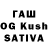 ГАШ hashish Kamila Aitakhunova