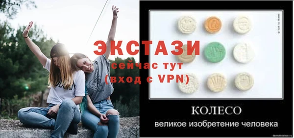 дживик Снежногорск